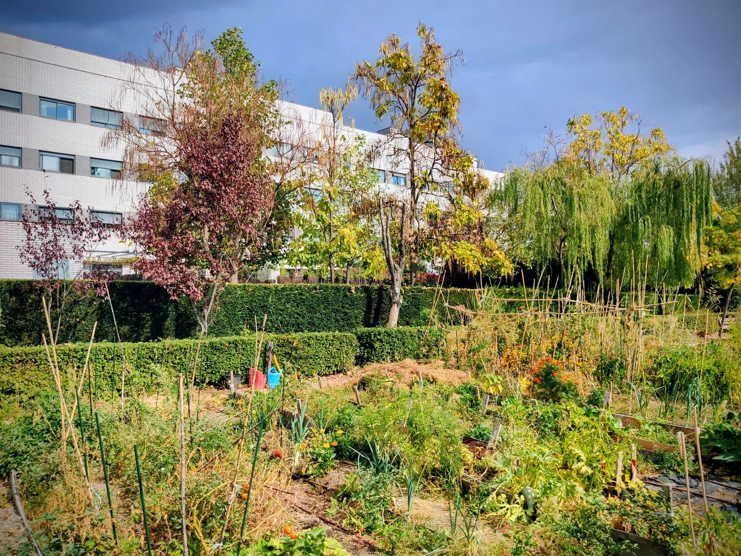 Piso en calle de la Estación de Atocha, 1 - Foto 9