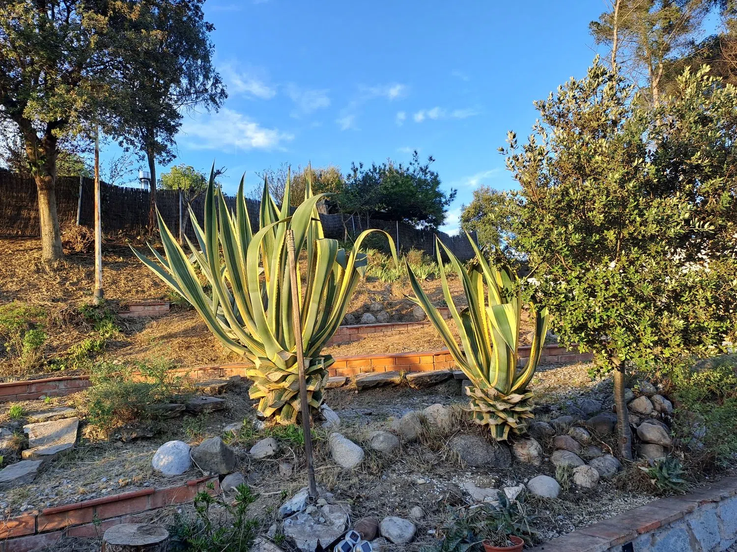 Casa independiente en calle del Maresme, 50 - Foto 4