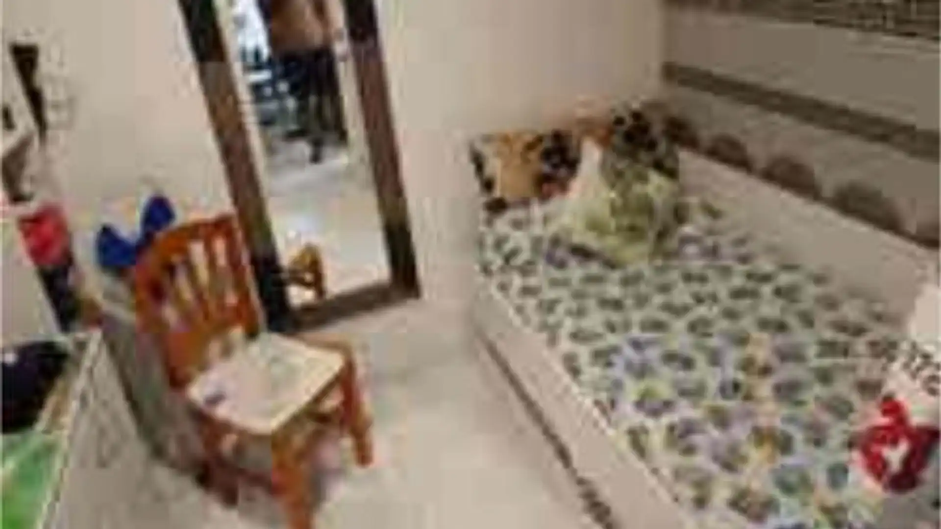 Piso en juzgados - Foto 3