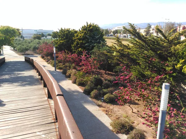 Piso en Avenida juegos mediterráneos y voleibol, 2025 - Foto 26