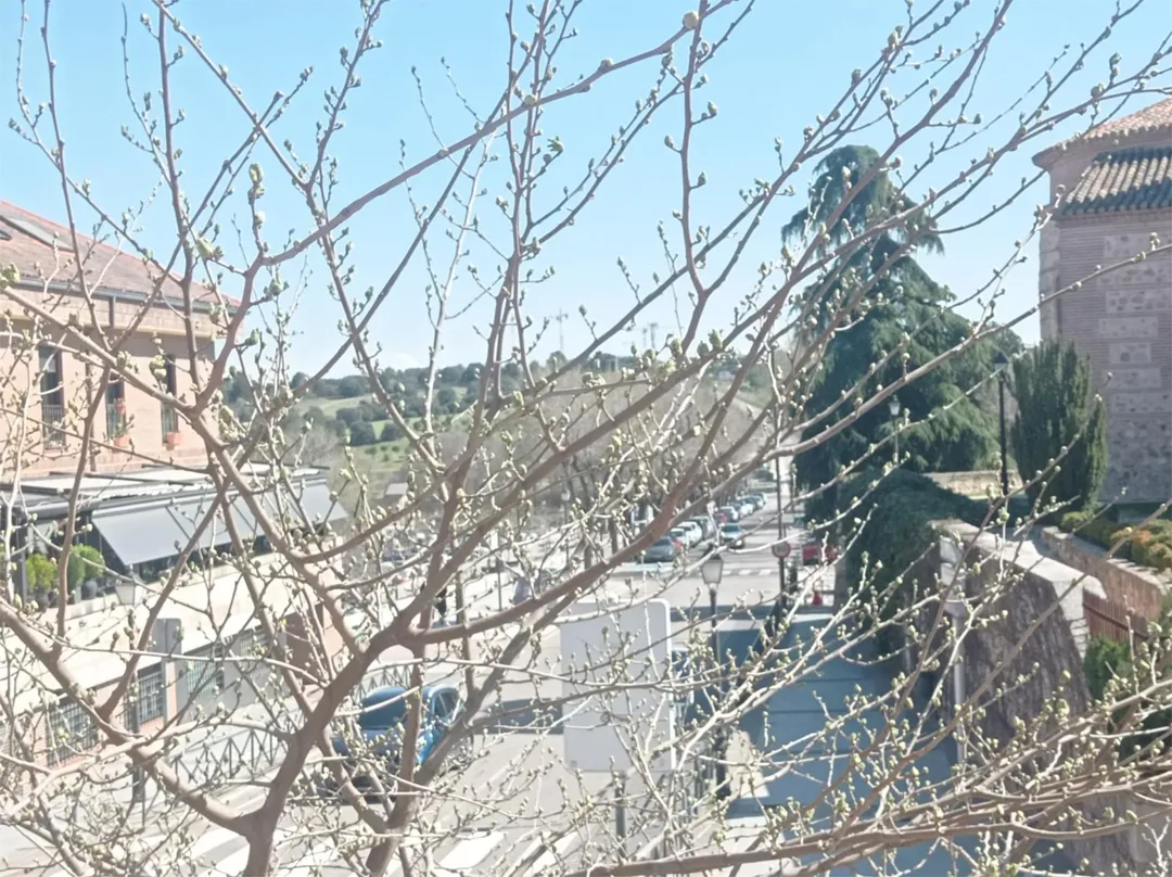 Piso en  Avenida del Generalísimo 21 - Foto 6