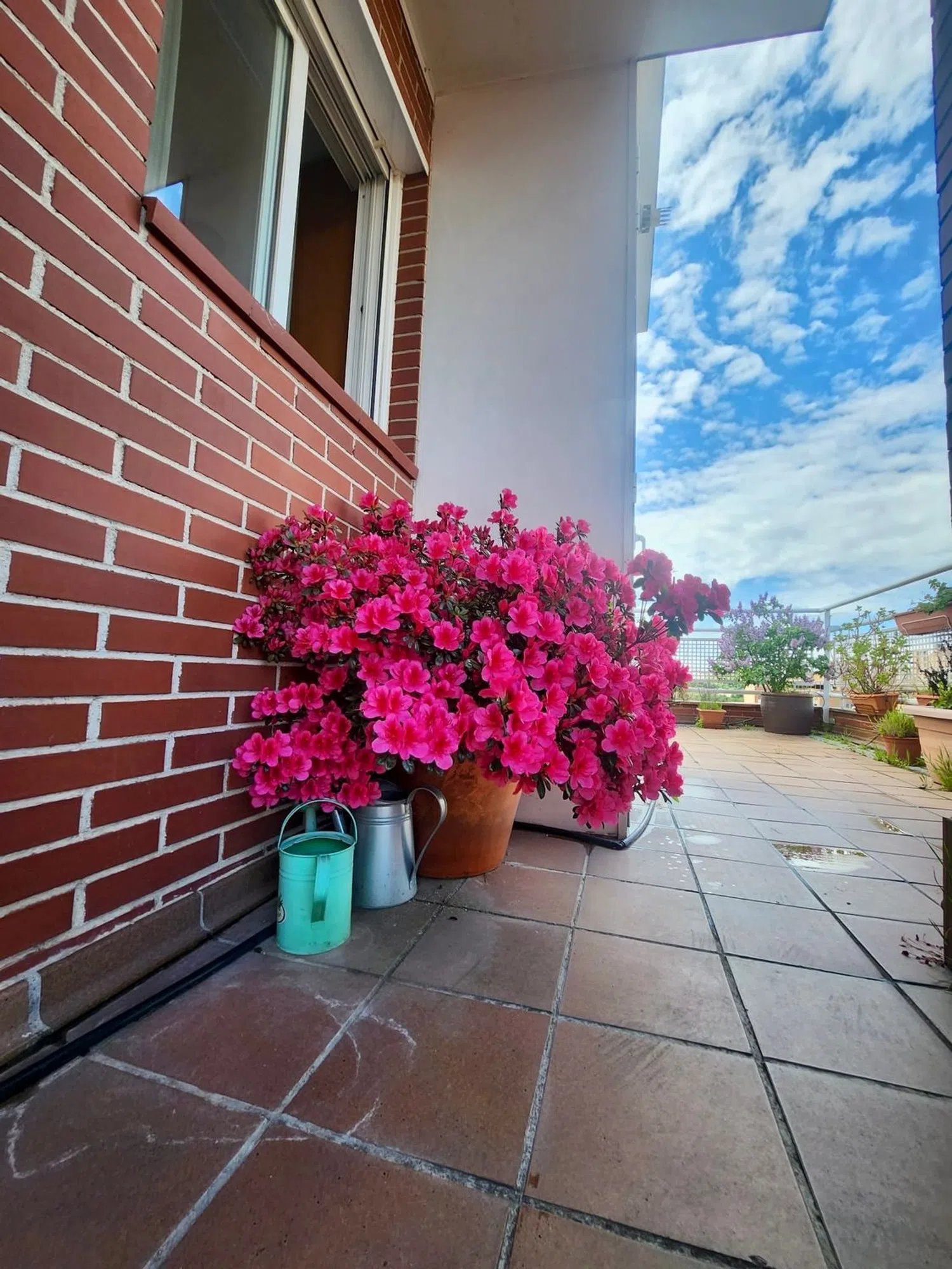 Ático en calle Antonio Romero, 14 - Foto 17