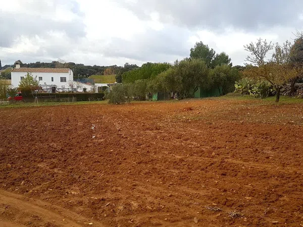 Casa rural en Diseminado Salinas, 520 - Foto 22