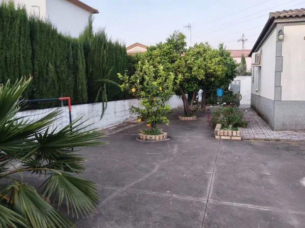 Casa independiente en avenida las Quemadas, 10 - Foto 2