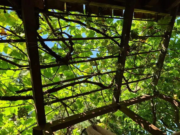Casa de pueblo en Sotosalbos - Foto 14