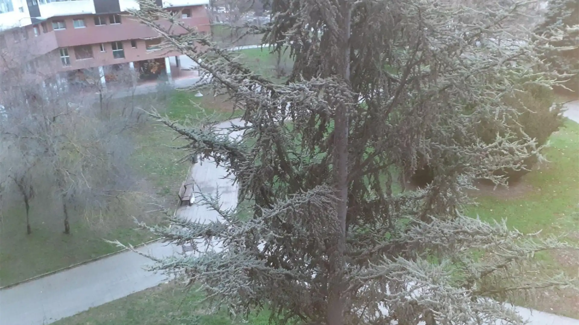 Piso en  Valladolid Kalea 6 - Foto 21