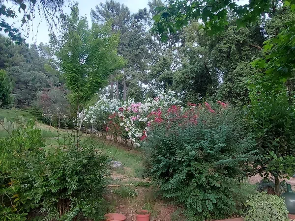 Casa o chalet independiente en Carretera Forestal de la Pregonera, 924 Av - Foto 1