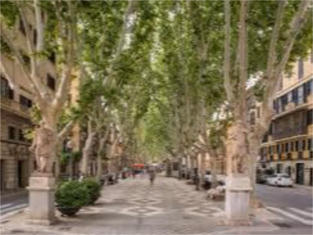 Piso en  Palma de Mallorca