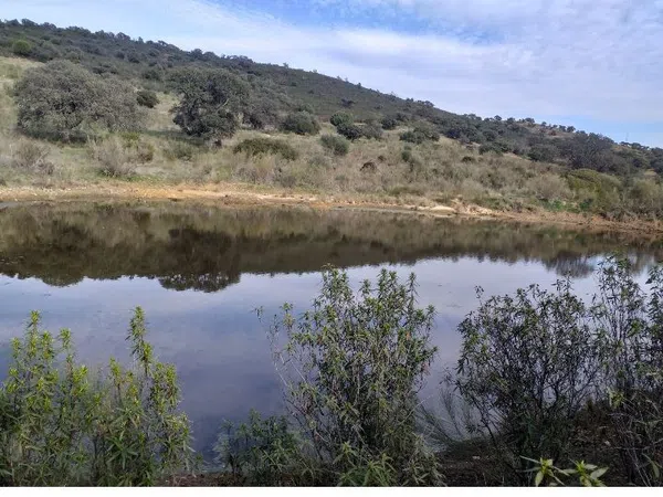 Finca rústica en Sierra de Mampar s/n - Foto 14