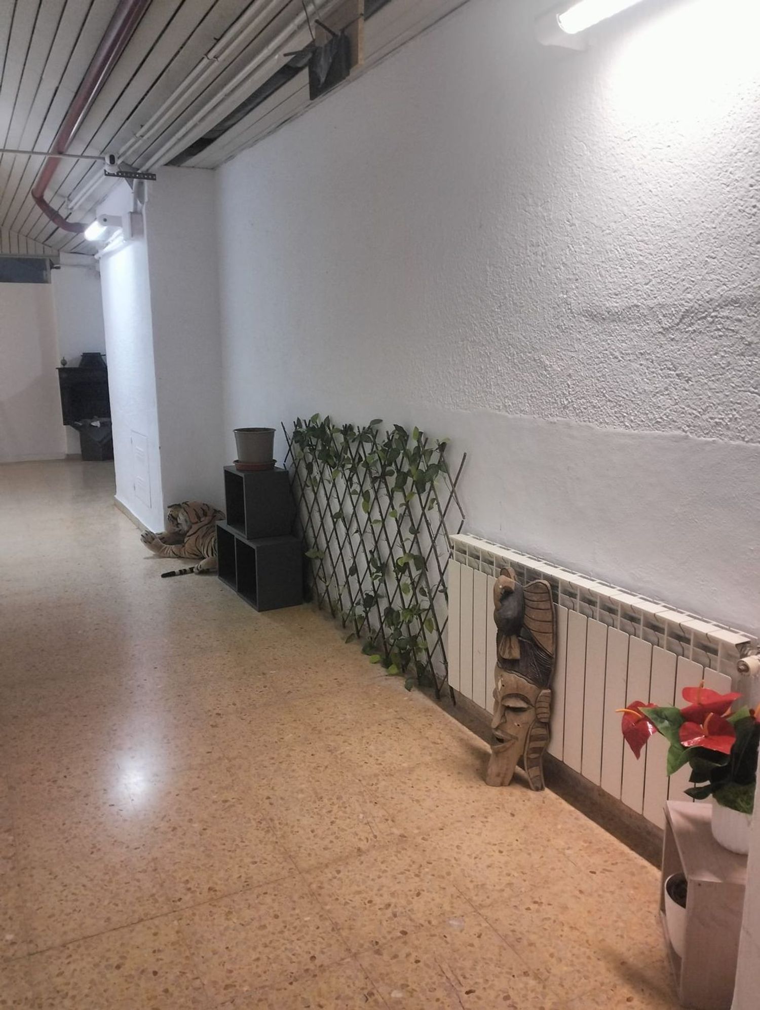 Estudio en Calle de Joan Pallarès, 34, Centre - Foto 8