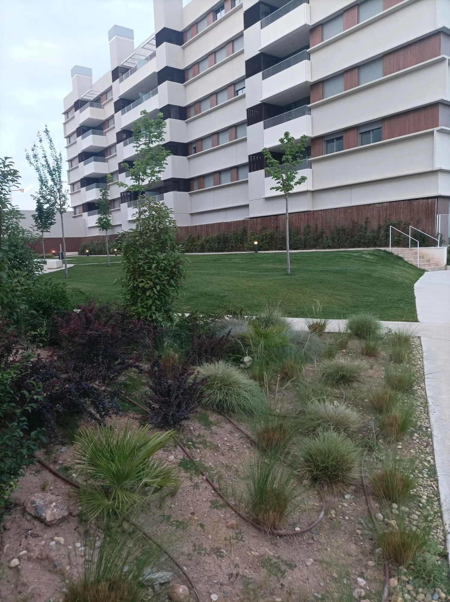 Piso en filólogo Julio casares, 18 - Foto 31