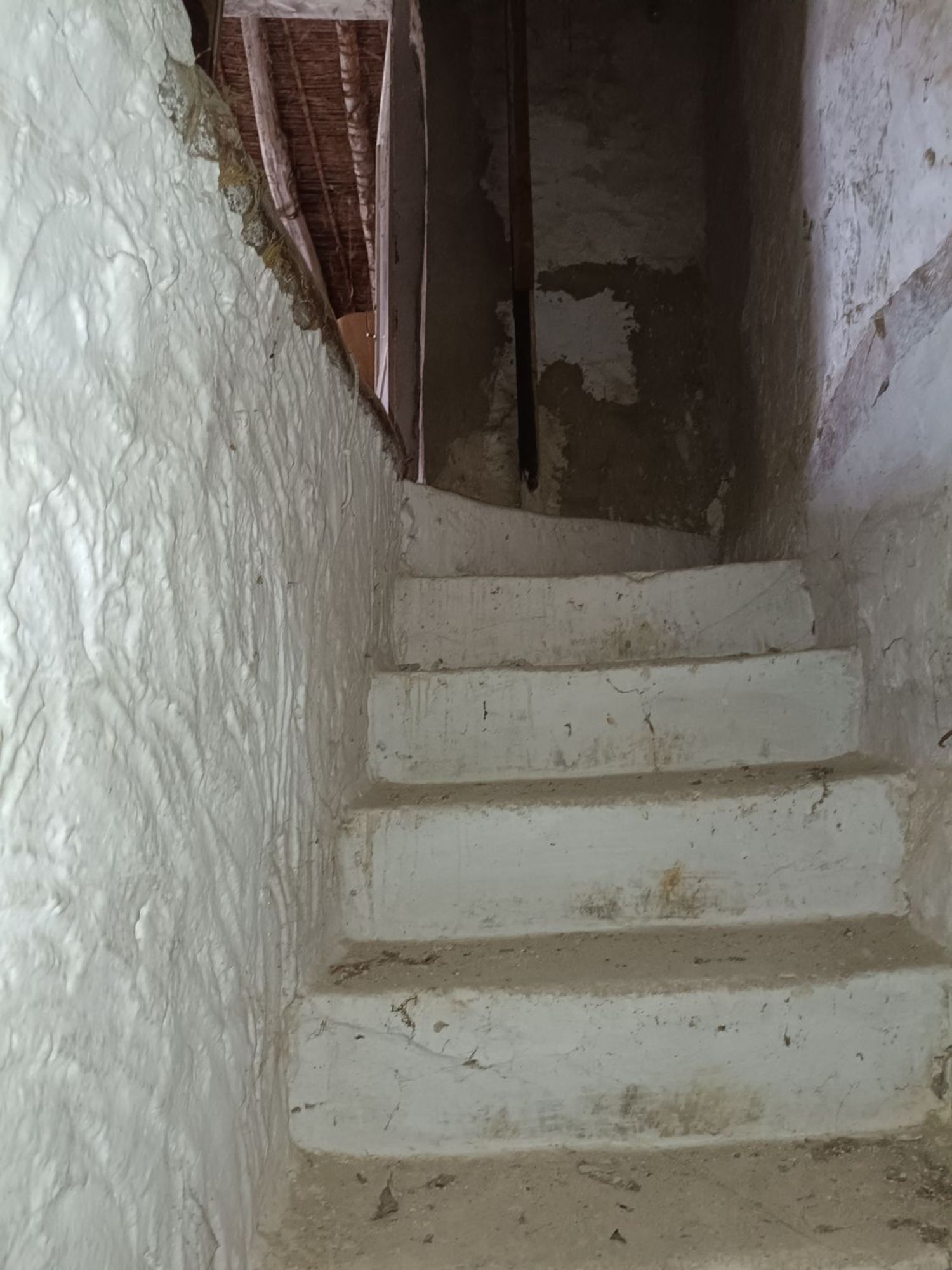 Casa terrera en Paraje Las Fuentes s/n - Foto 26