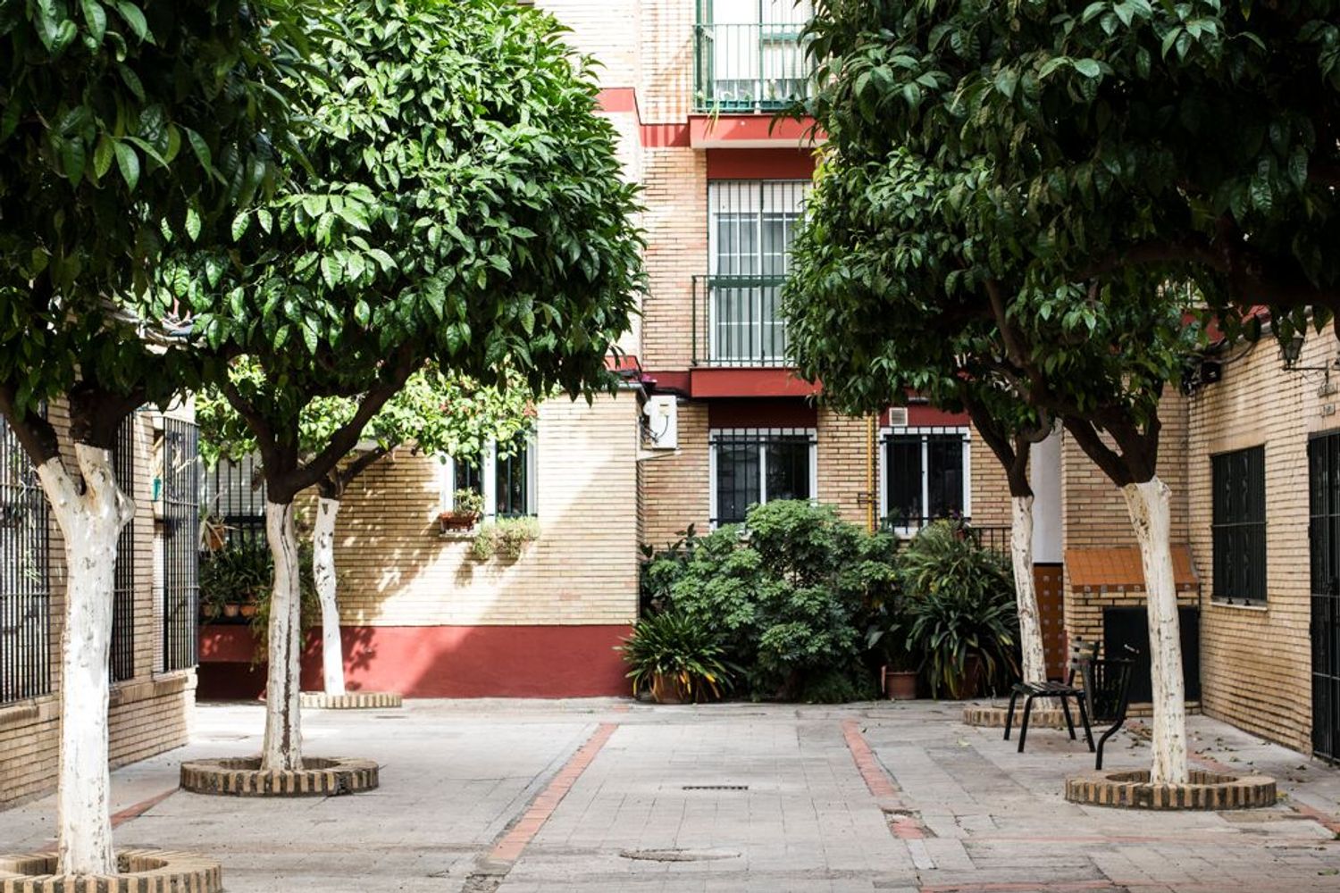 Piso en Calle San Jacinto, 25, Calle Betis - Pagés del Corro - Foto 1
