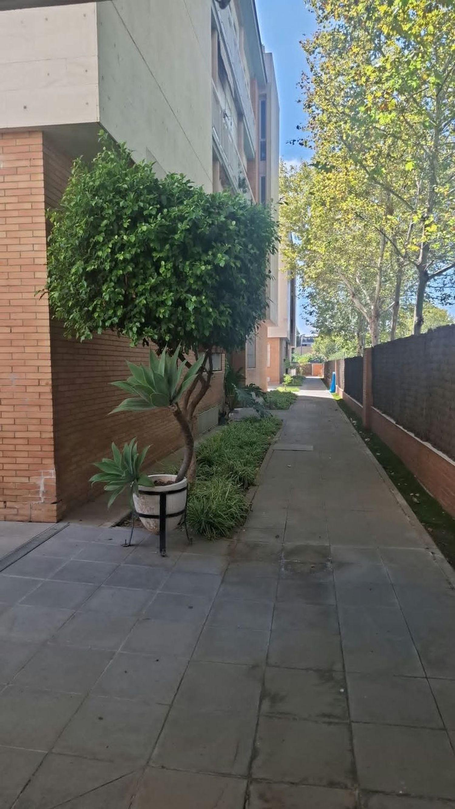 Piso en Avenida de Italia, 21, Los Bermejales - Foto 14