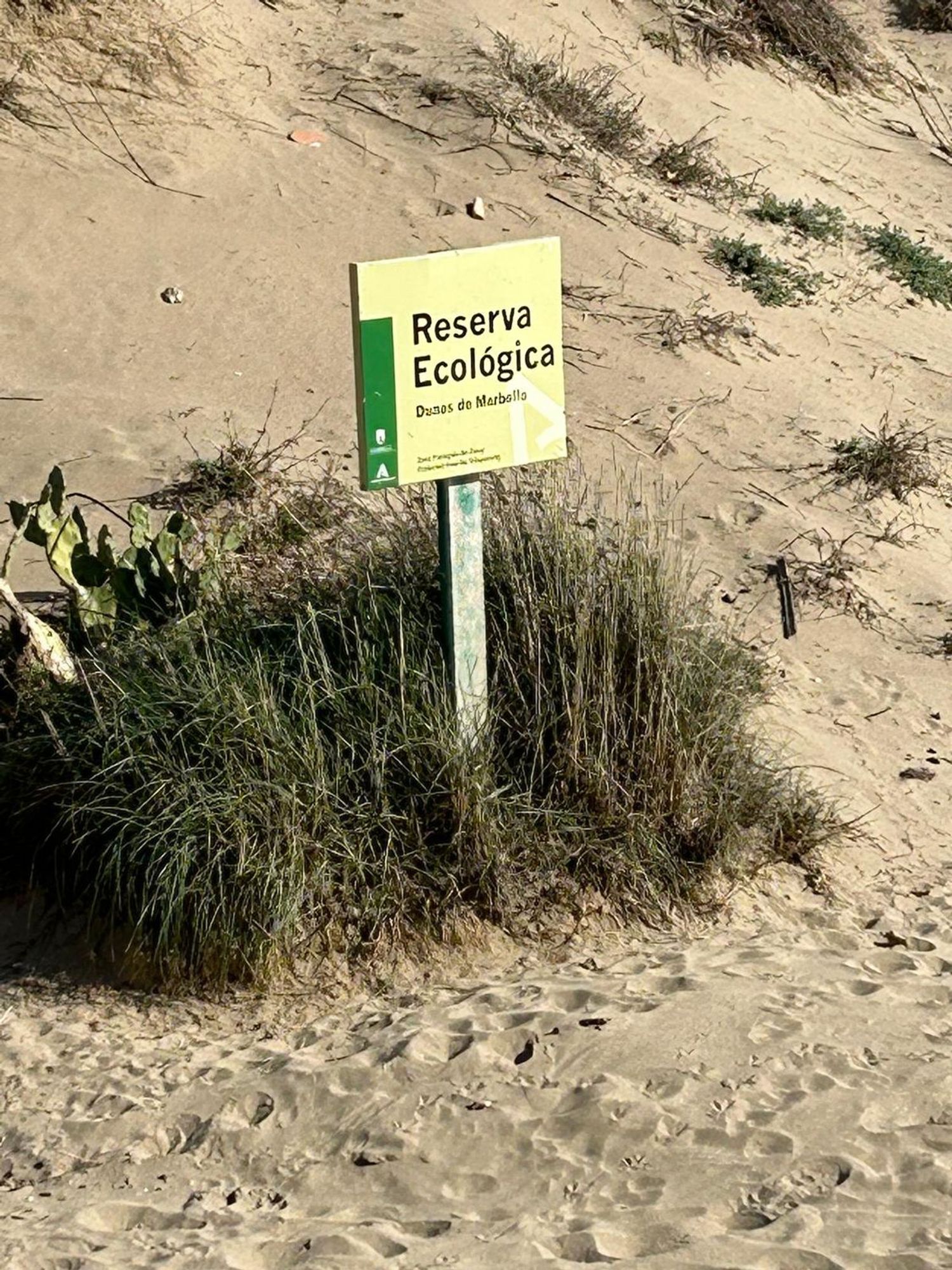 Piso en calle Temporal, 2 - Foto 1