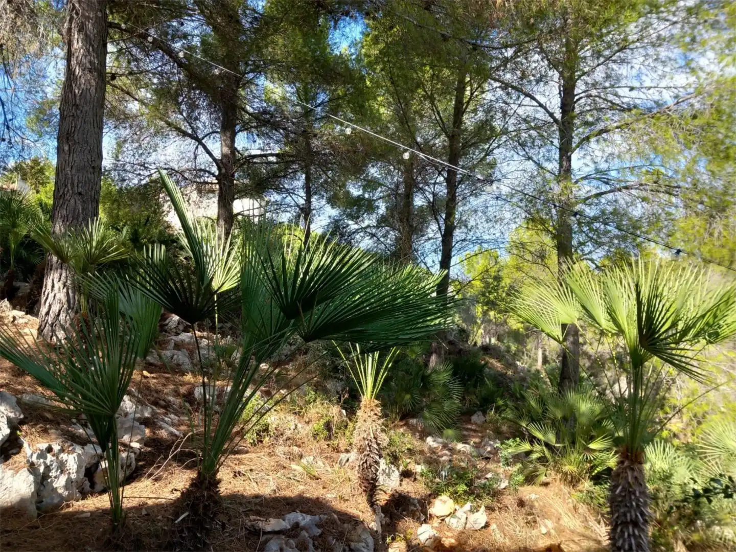 Piso en Pedreguer - Foto 20