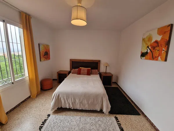 Casa o chalet independiente en Calle Giner de los Ríos, 11, Centro, Centro - Foto 19