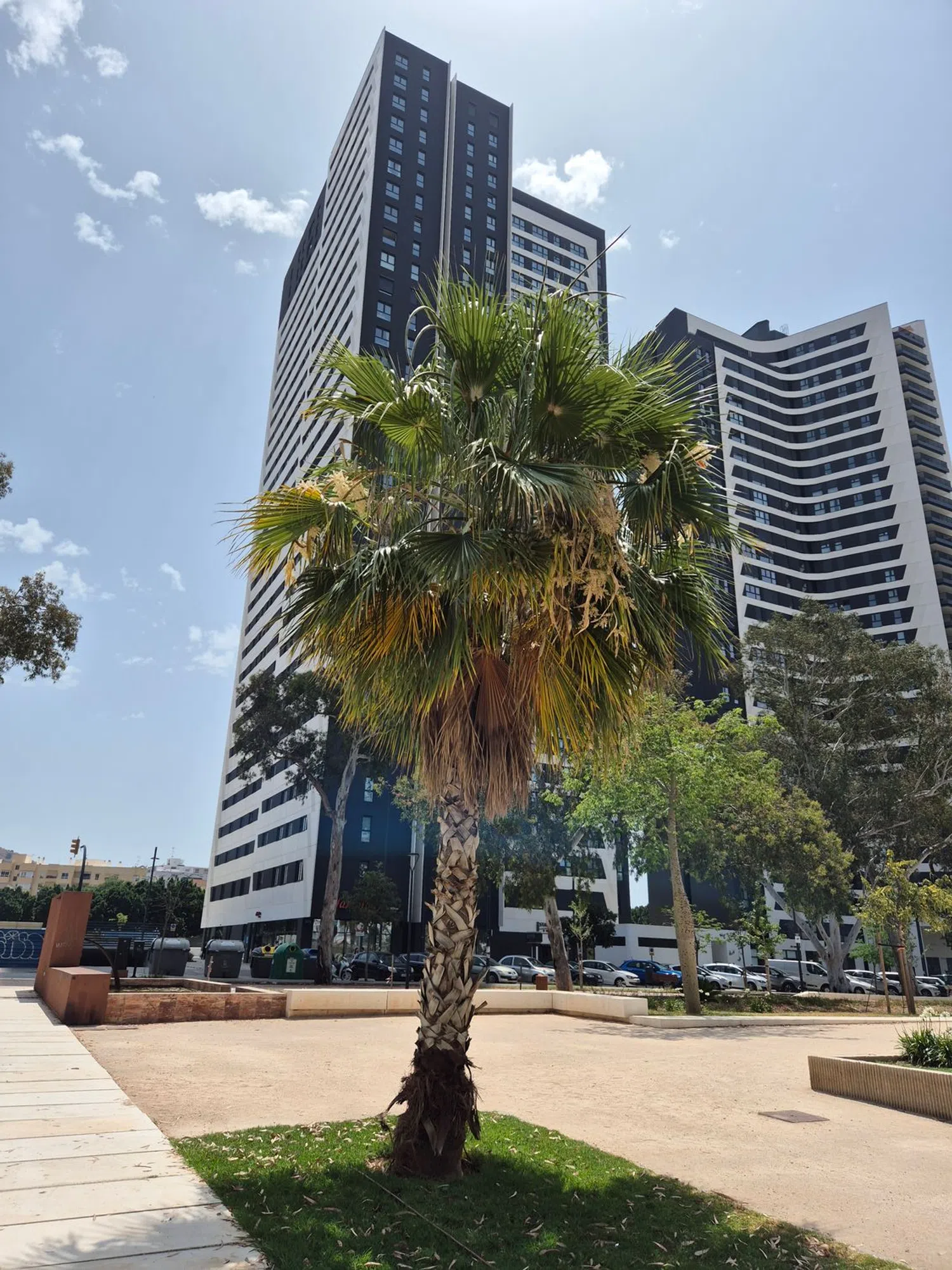 Estudio en paseo Martiricos, 40 - Foto 7