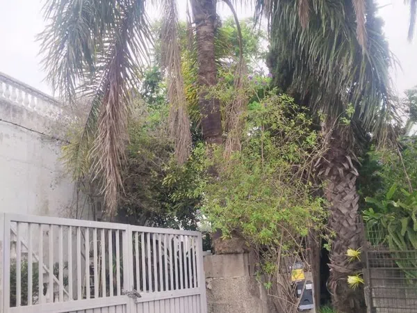 Finca rústica en Carretera Enlace el Ramal, 18 L, Centro, Centro - Foto 40