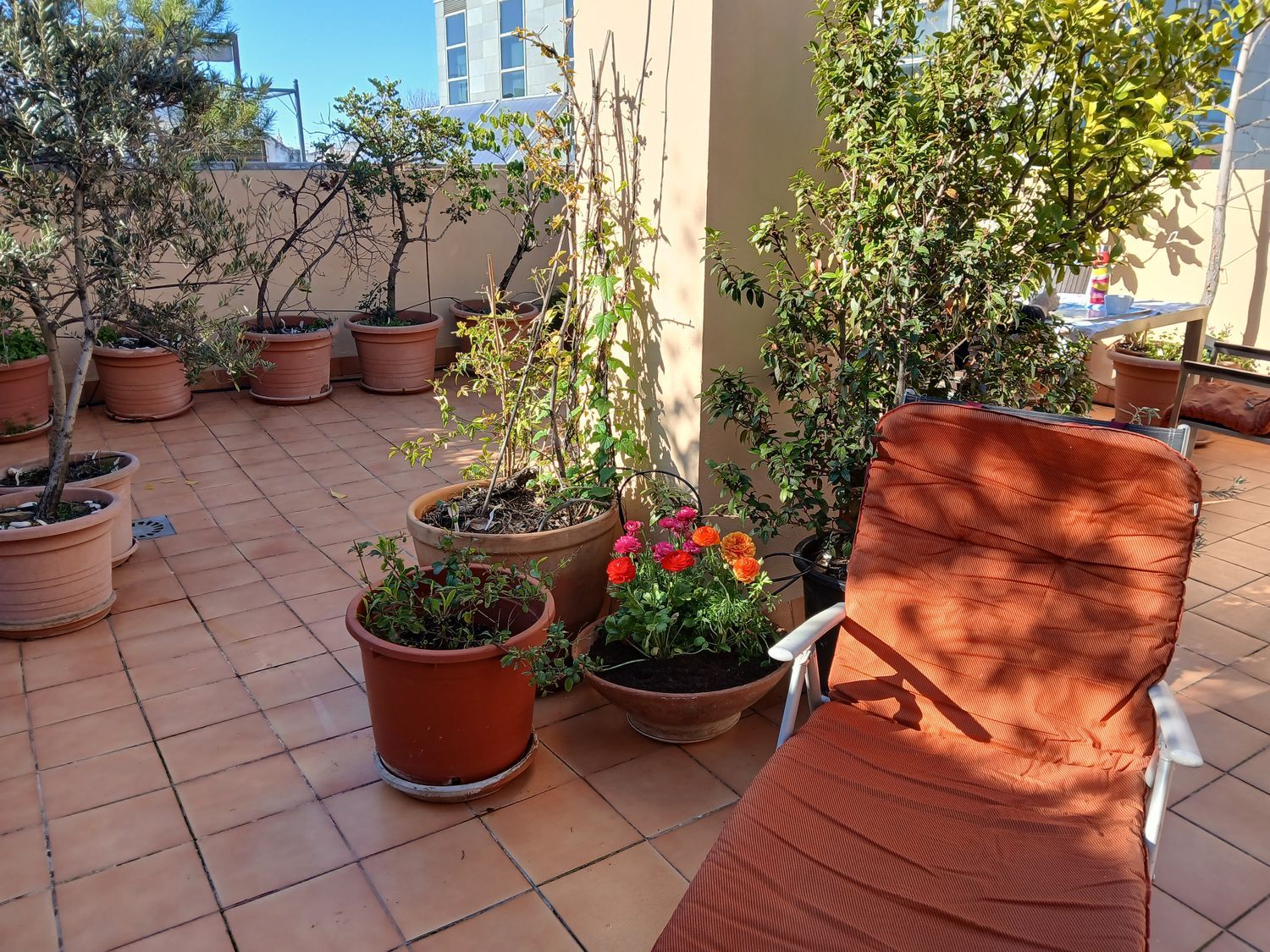 Ático en calle Rastro, 22 - Foto 2