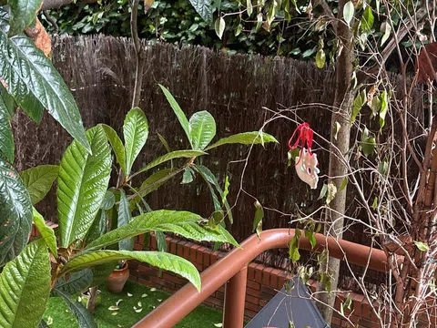 Piso en avenida de Europa, 7 - Foto 6