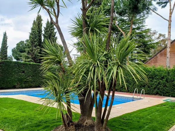 Casa independiente en El Olivar de Mirabal - Foto 18