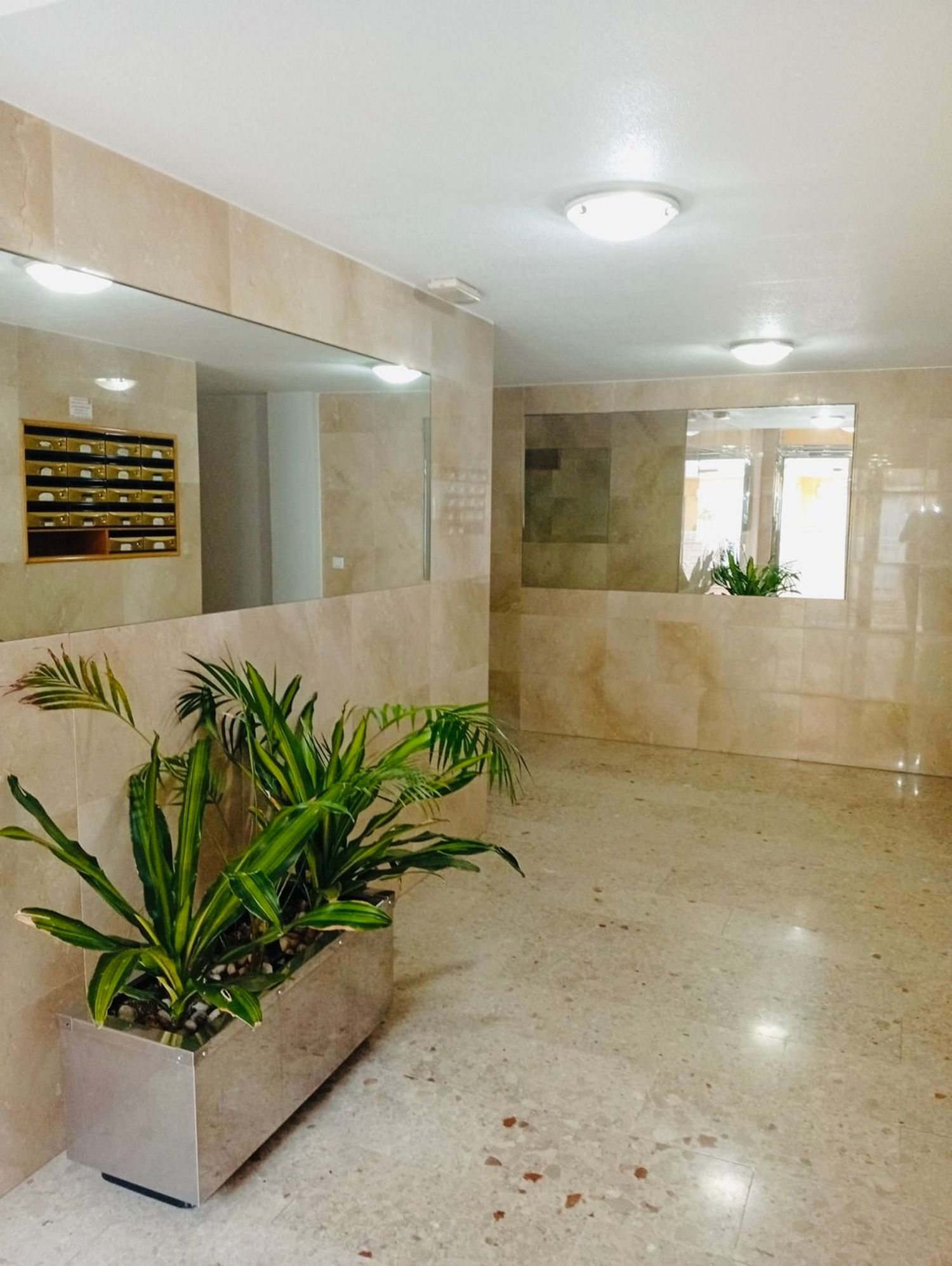 Piso en Urb. avenida juan carlos i Barrio Espinardo - Foto 4