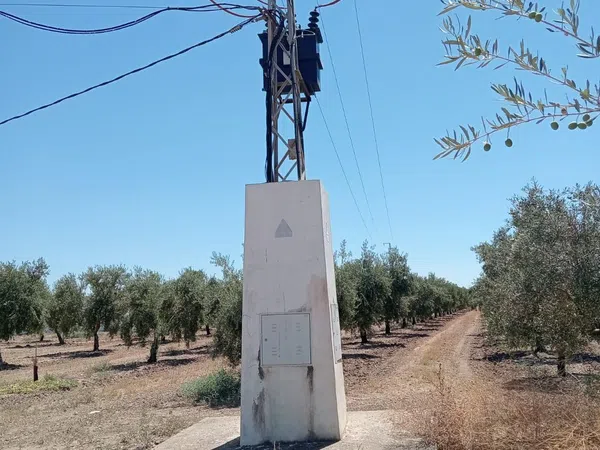 Finca rústica en Paraje Santa Cruz s/n - Foto 27