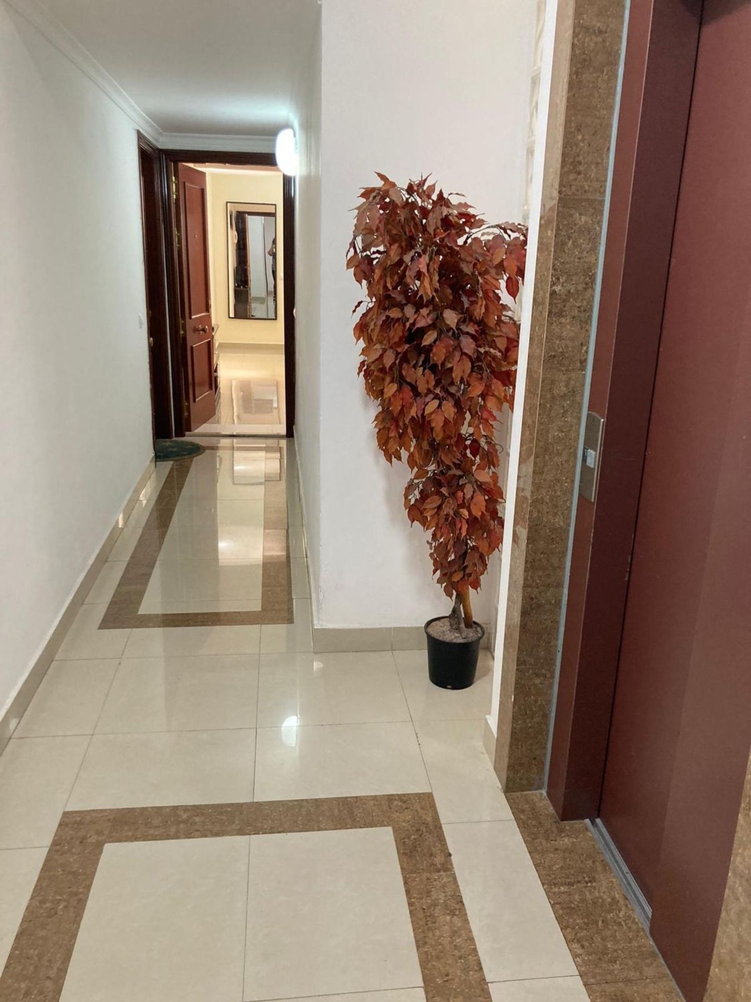 Piso en Calle Doctor Miguel Rosas, 21, Santa Catalina - Canteras - Foto 13