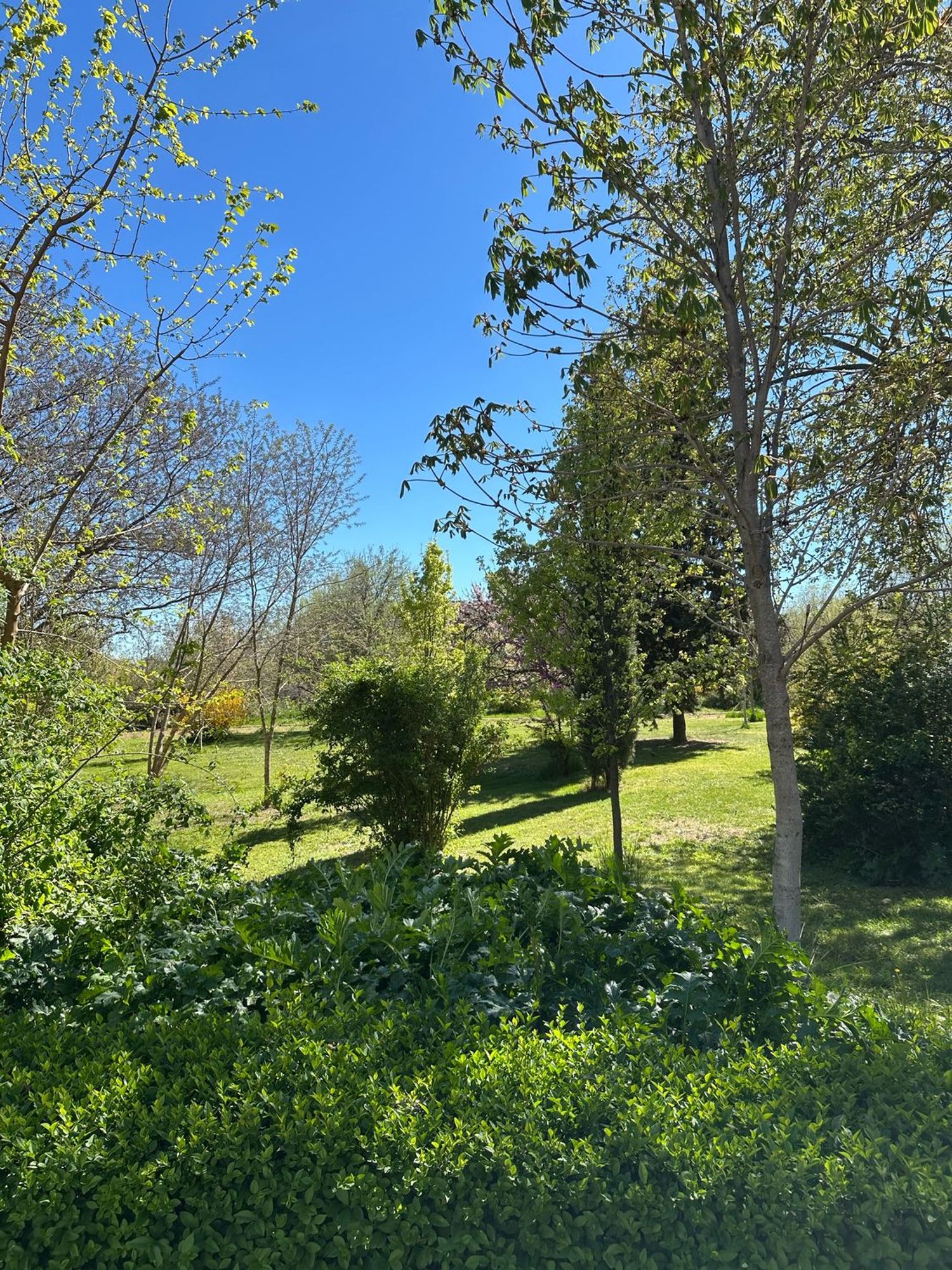 Piso en avenida de la Plaza de Toros, 6 - Foto 9