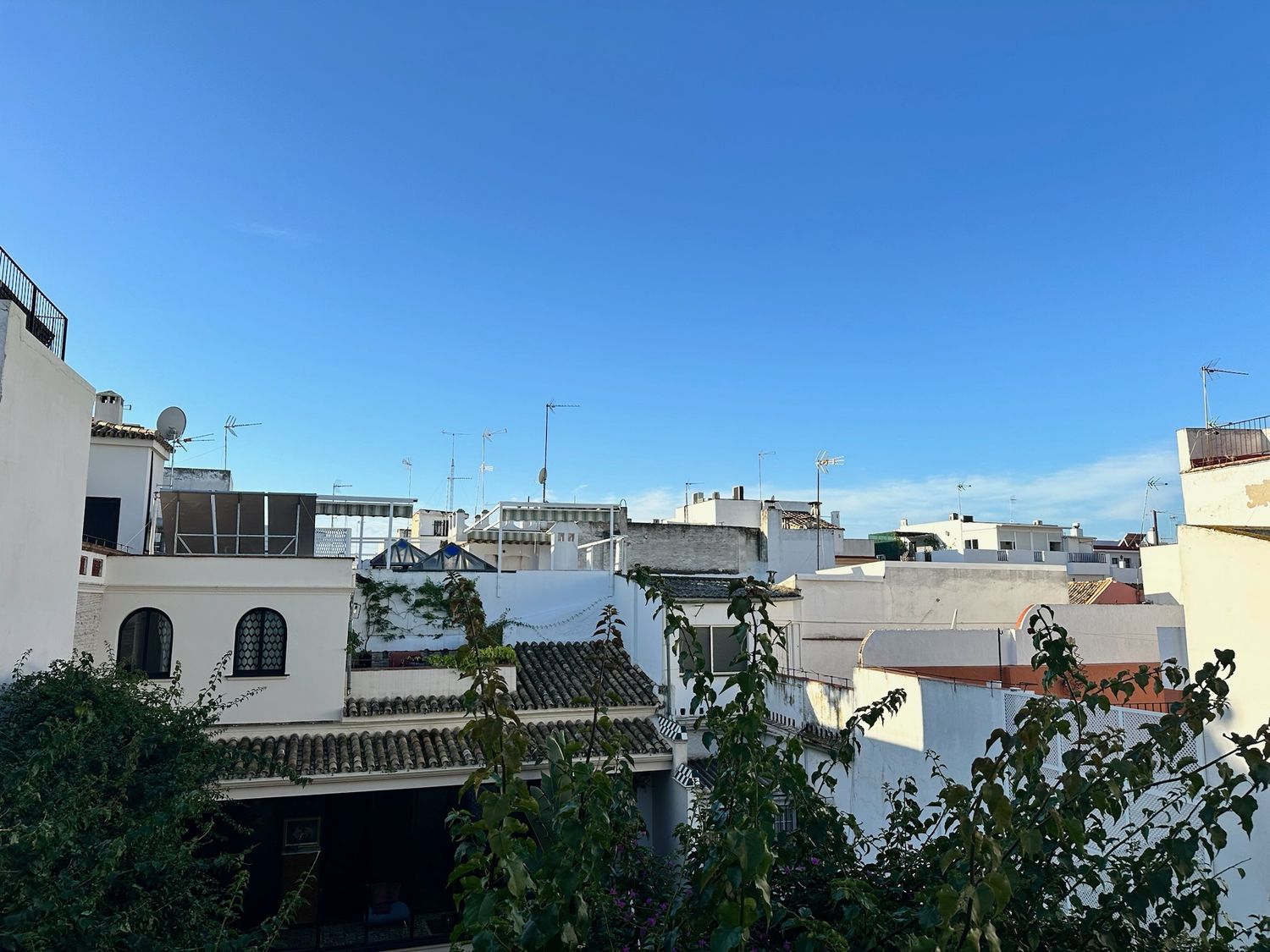 Piso en calle Martínez Montañés, 31 - Foto 8