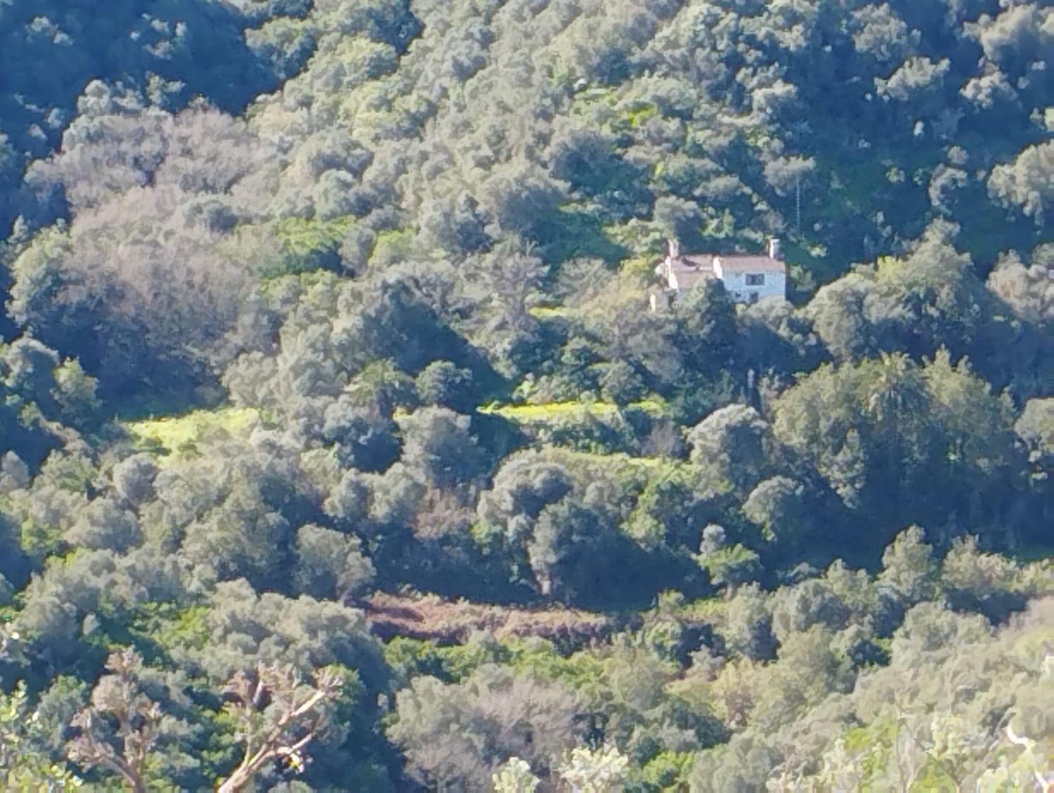 Casa independiente en El Laurelar, 53 - Foto 1