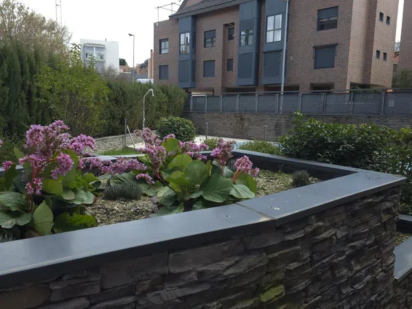 Estudio en calle de Torrelaguna, 110