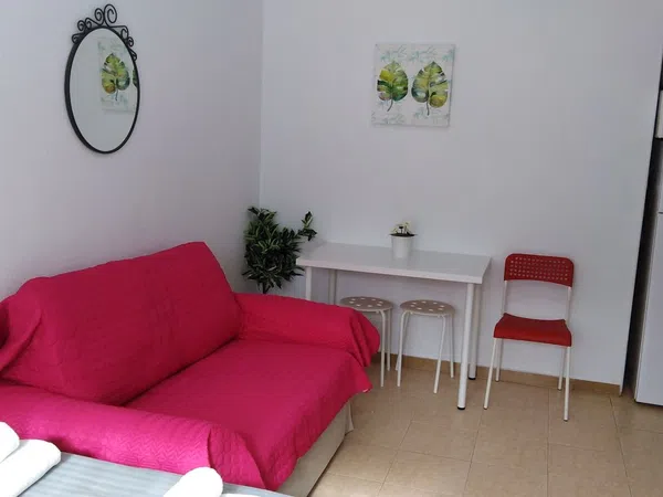 Estudio en Carrera de Capuchinos, 9, El Ejido - Foto 7