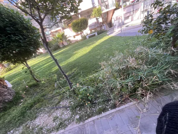Ático en Travesía el Secano, 42 - Foto 26