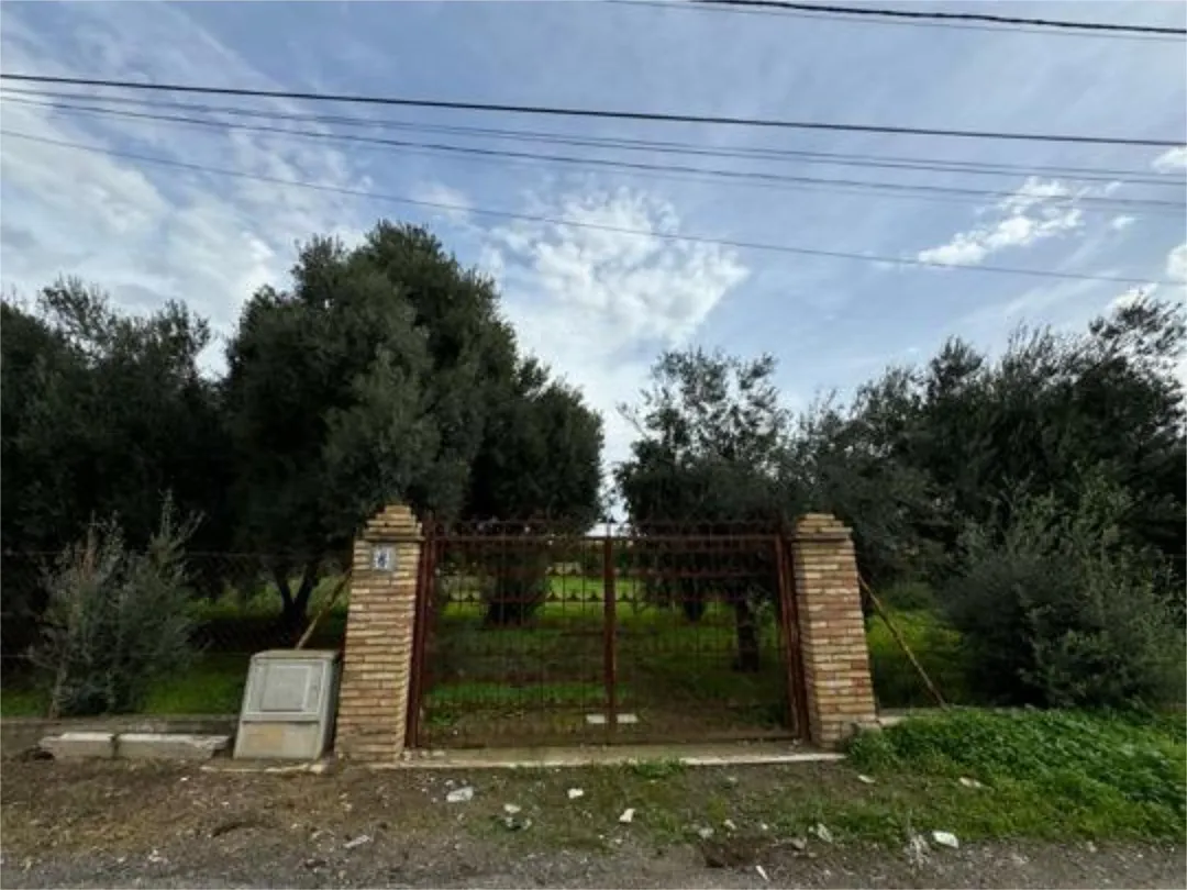 Casa adosada en Zona Norte - Foto 8