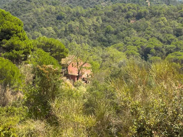 Masía en Masía en Diseminado Veinat de Sant Daniel, 104, Mas Mora - Sant Daniel, Mas Mora - Sant Daniel - Foto 11