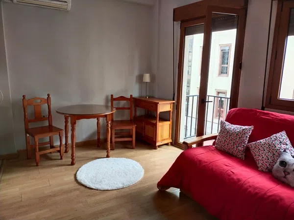 Estudio en calle Milagro, 10 - Foto 3