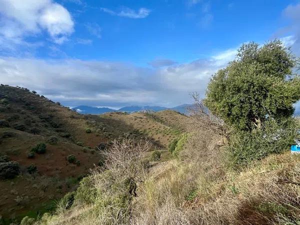Casa o chalet independiente en Carretera de abdalajis, 1, Cártama pueblo, Cártama pueblo - Foto 10