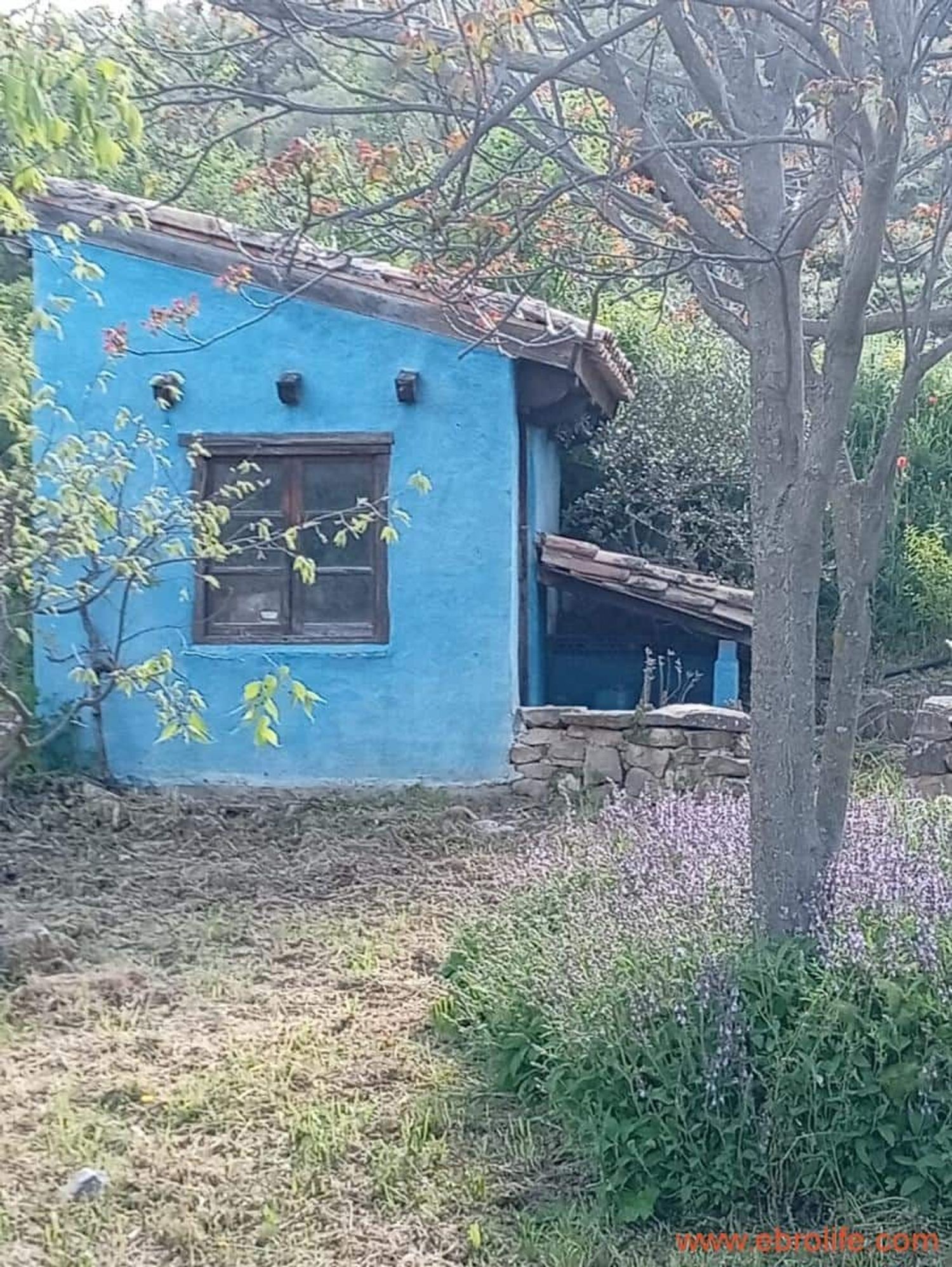 Masía en Masía en Camino del Pantano, 34 - Foto 6