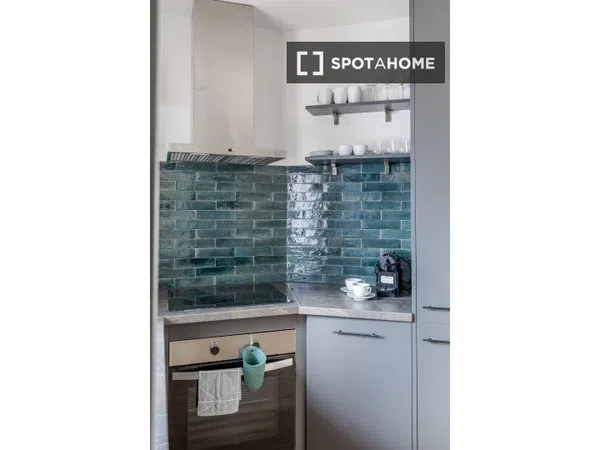 Estudio en Calle Pinos Alta, Ventilla-Almenara - Foto 15