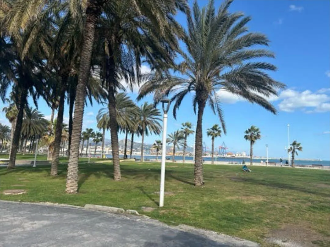 Piso en Carretera de Cádiz - Foto 2