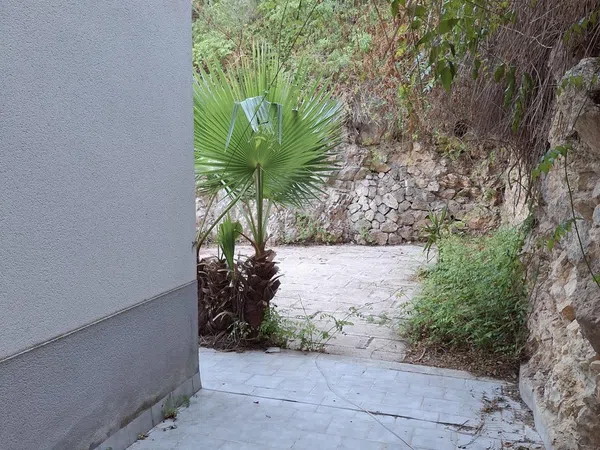 Piso en Calle de Victorio Luzuriaga, 26, Sant Agustí - Foto 12