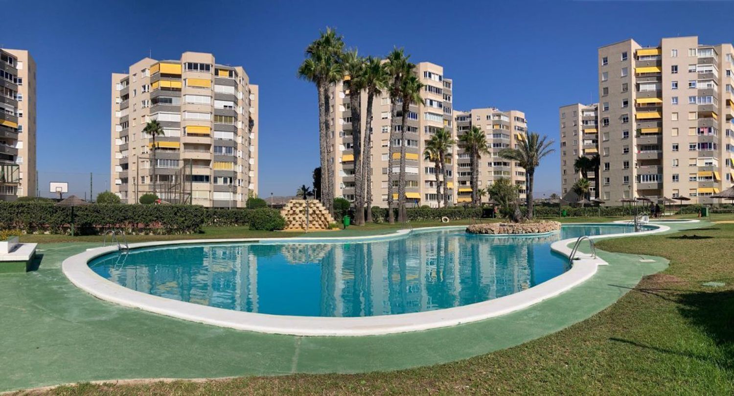 Piso en Calle Músico Antón Roch, El Palmeral-Urbanova-Tabarca - Foto 7