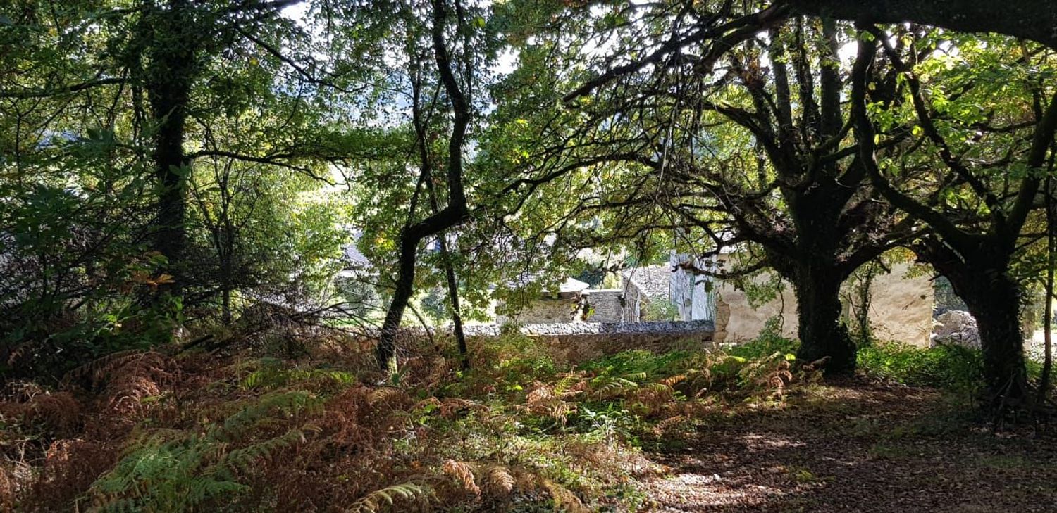 Casa de pueblo en Vilartelin Baralla, 5 - Foto 8