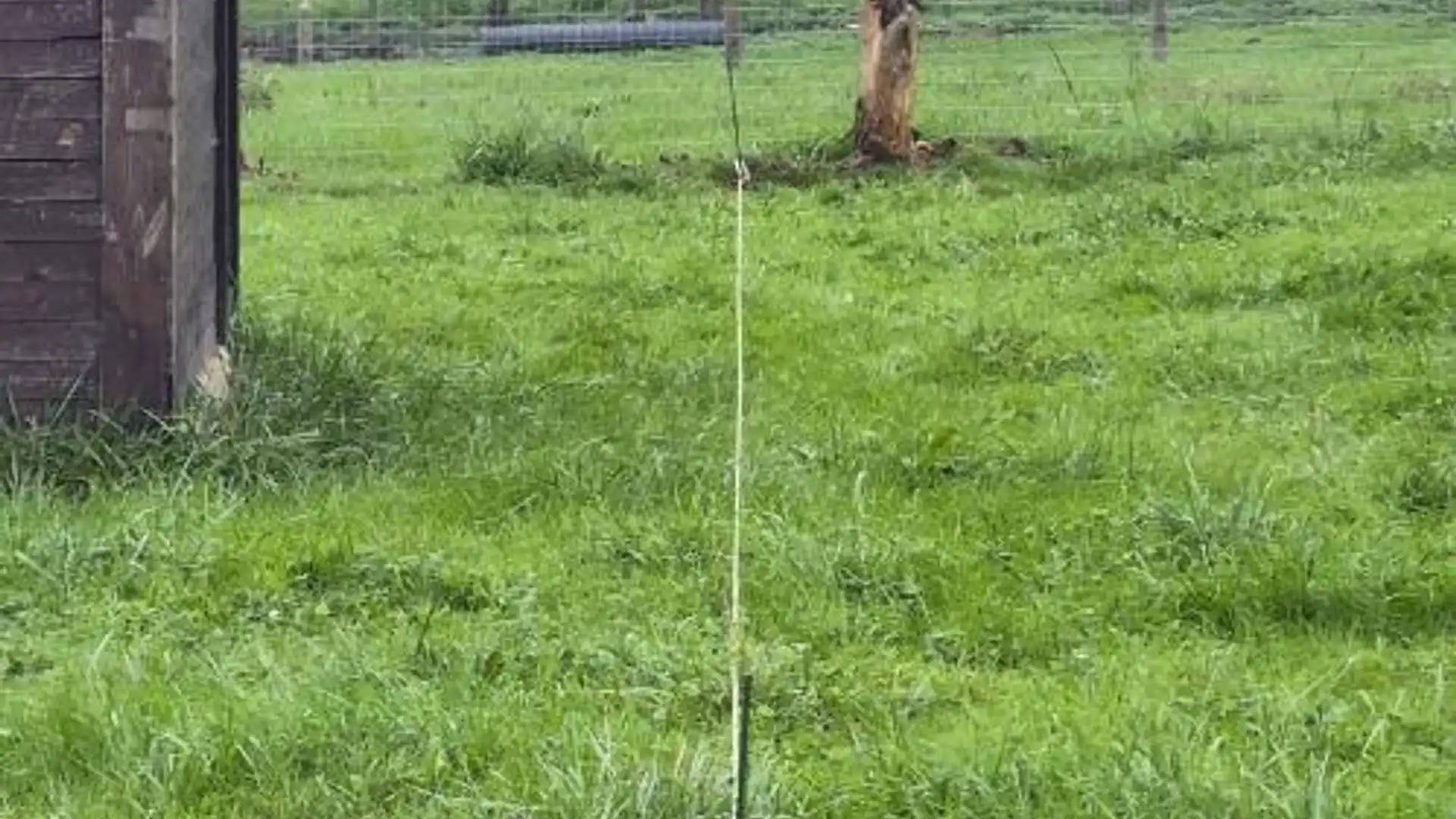 Finca rústica en  Lugar Godos 9 - Foto 14