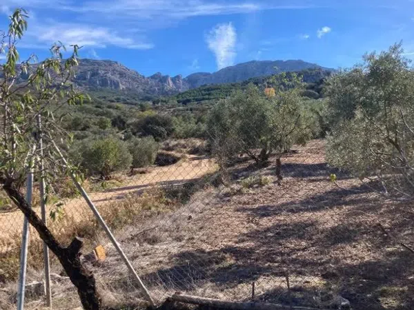 Cortijo en Cortijo Los Arenales, 1, 9 PolgonoParcela - Foto 9