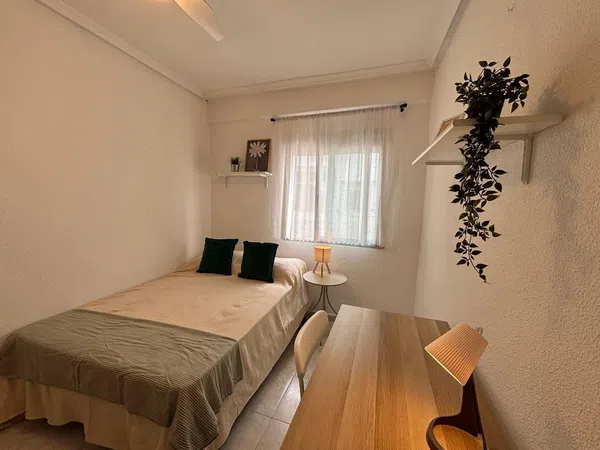 Piso en Calle del Plus Ultra, 75, Carolinas Altas, Alicante / Alacant - Foto 11