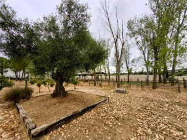 Finca rústica en  Calle de Villabañez 185A - Foto 25
