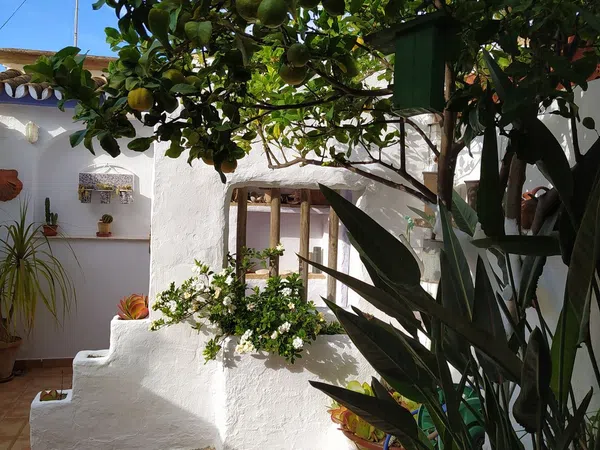 Chalet adosado en Avenida Conquistadores, 164 - Foto 11